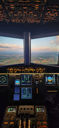 SkyX Private Group Flight Experience