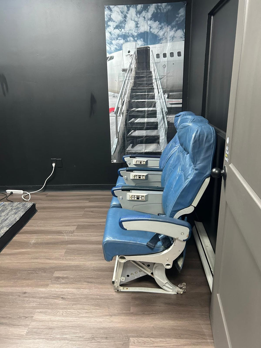 SkyX Private Group Flight Experience
