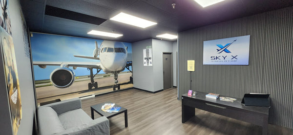 SkyX Private Group Flight Experience