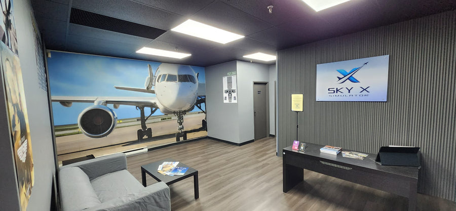 SkyX Private Group Flight Experience